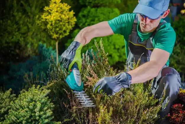 landscaping services Rogersville